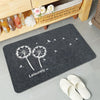 WASHABLE DURABLE MAT DOORMAT